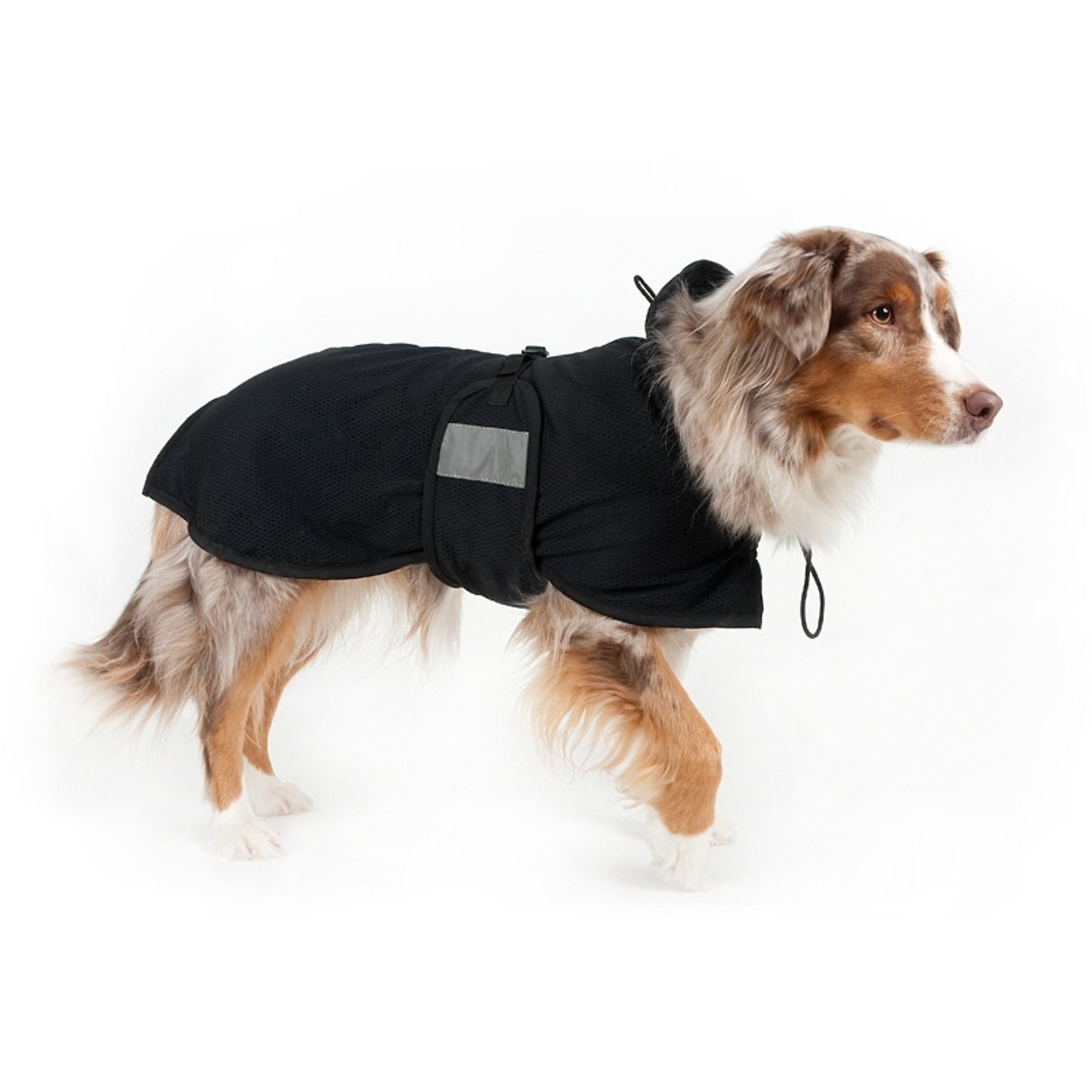 3218_dogmeshrug_2_web.jpg
