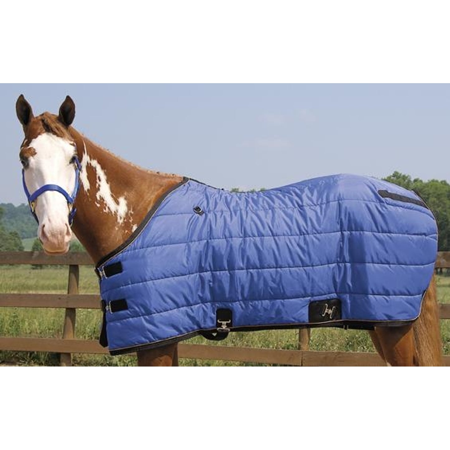 351510_royal_blue.jpg