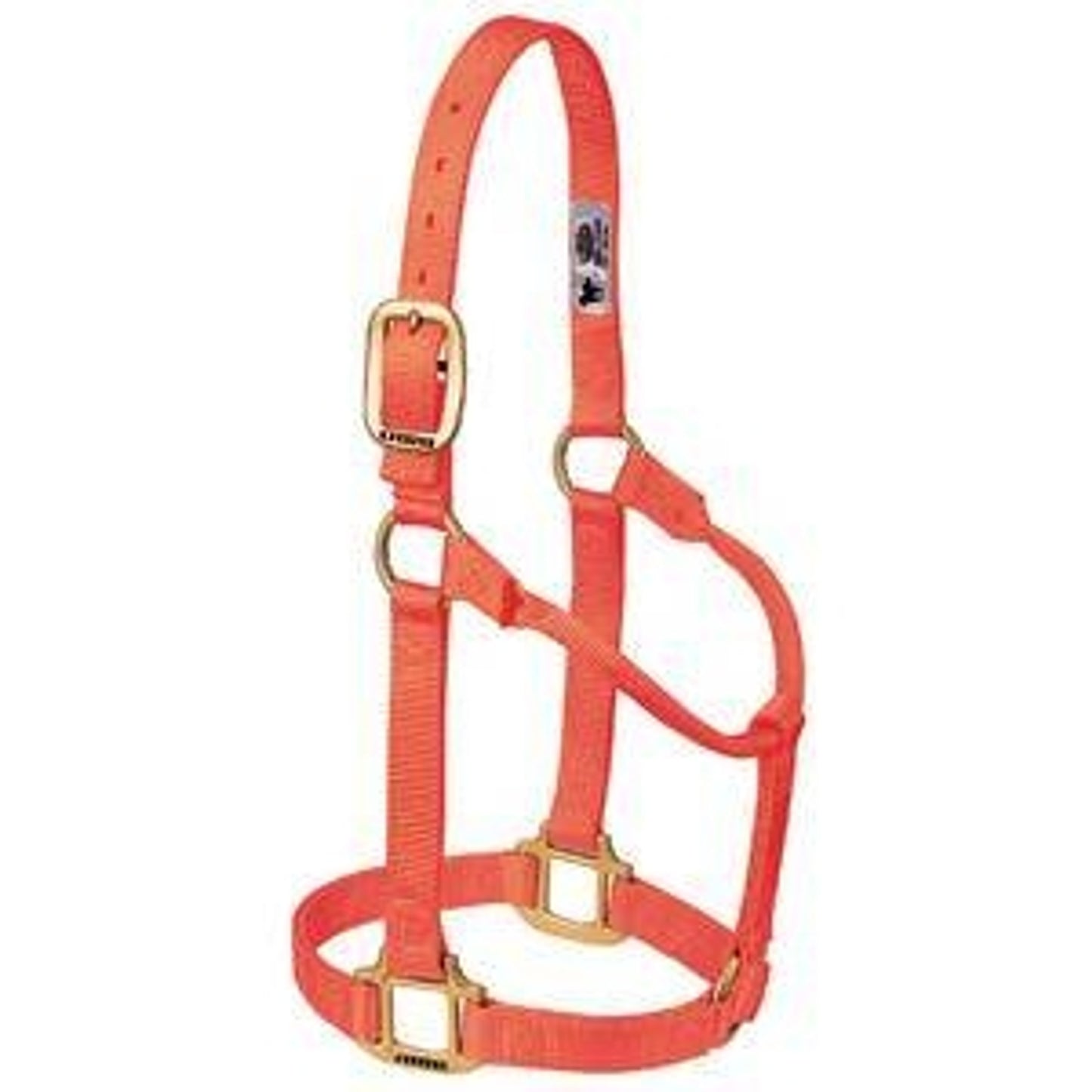 357005_blaze_orange.jpg