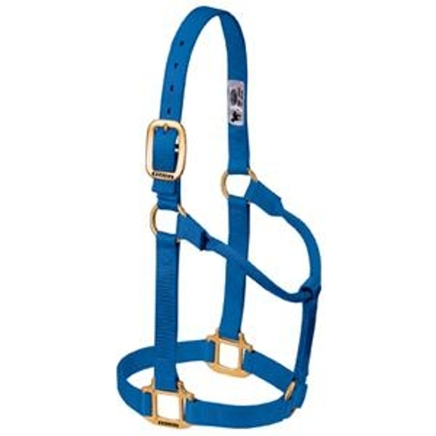 357005_blue.jpg