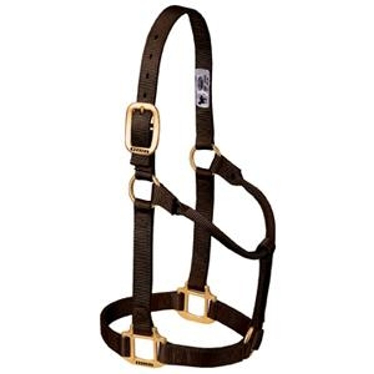 357005_brown.jpg