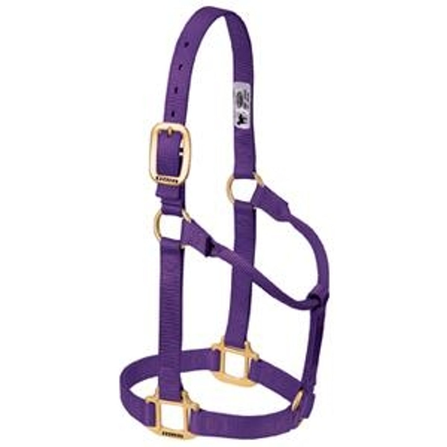 357005_purple.jpg