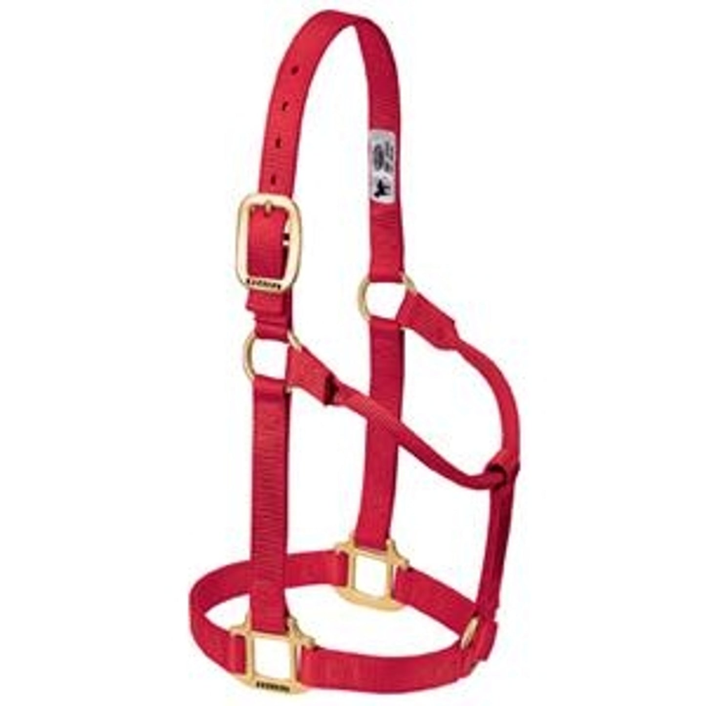 357005_red.jpg