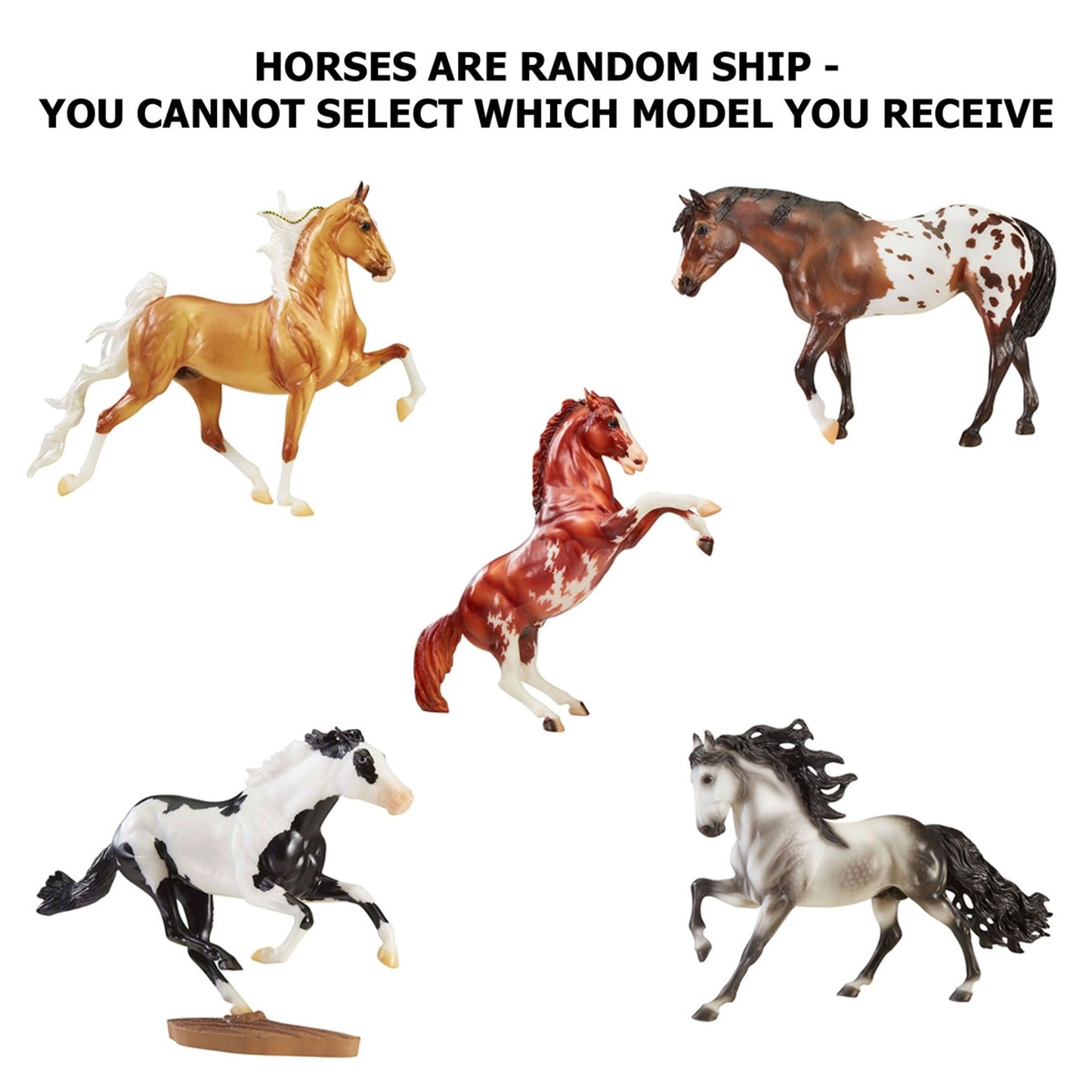 4-283731.jpg