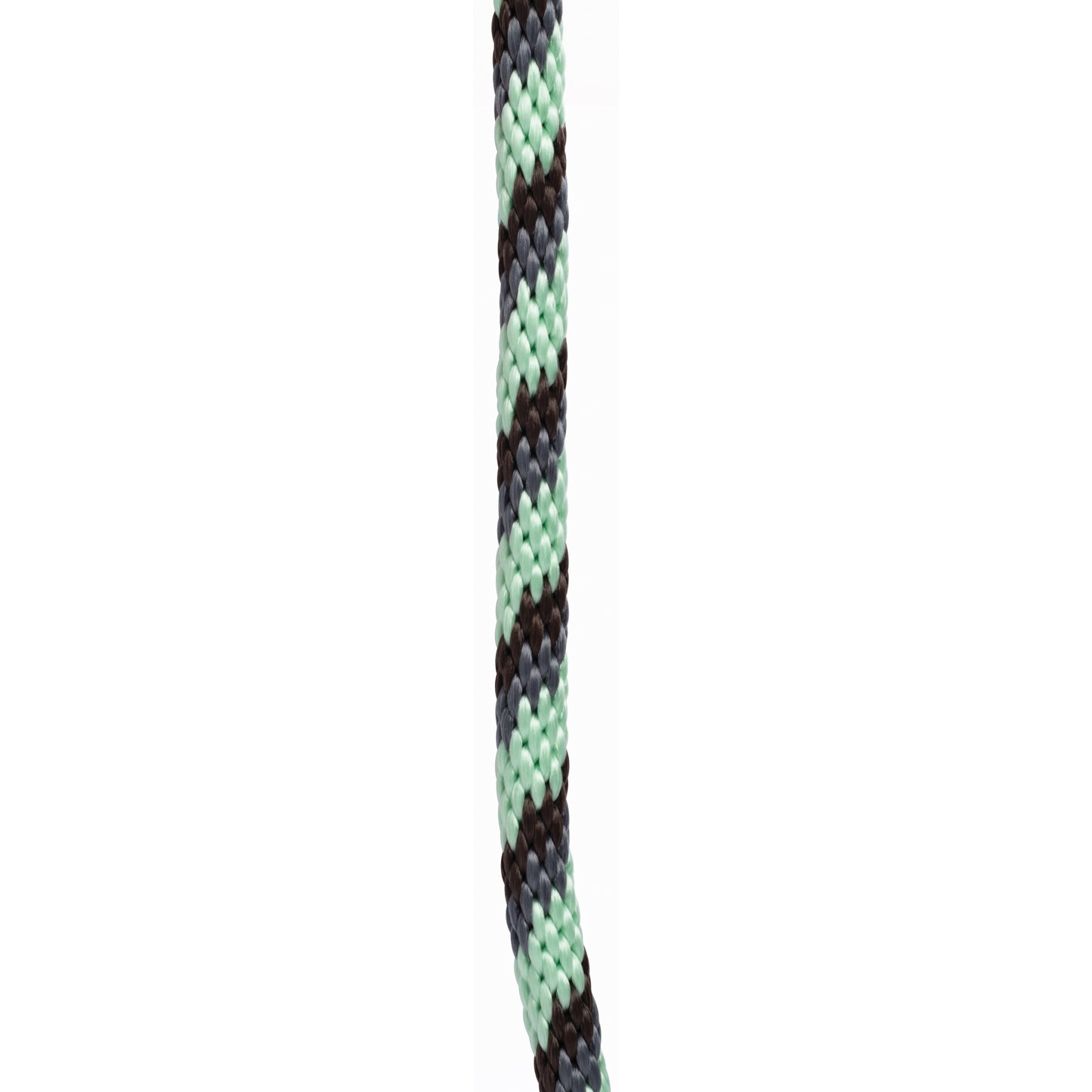 4-347381-b.jpg