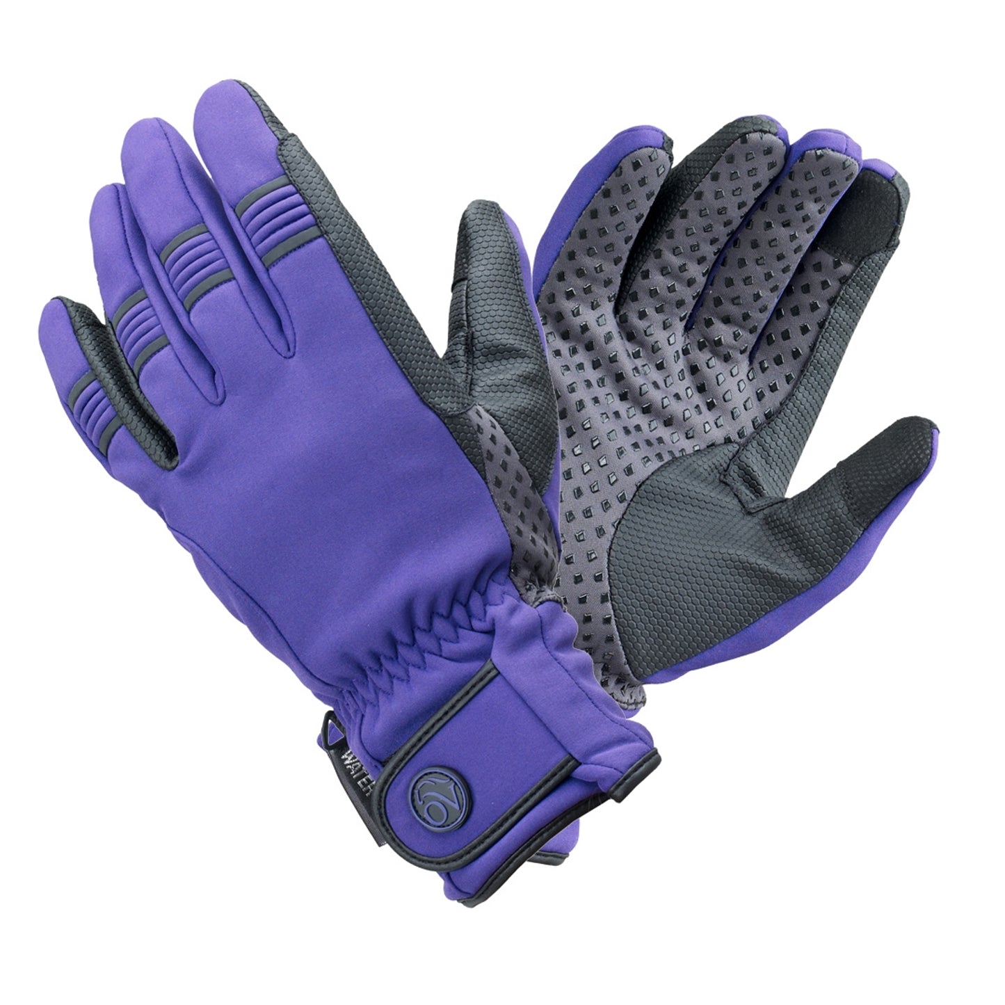 470826-purple.jpg