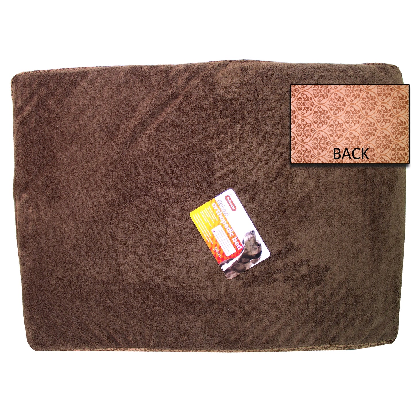 5-454580.jpg