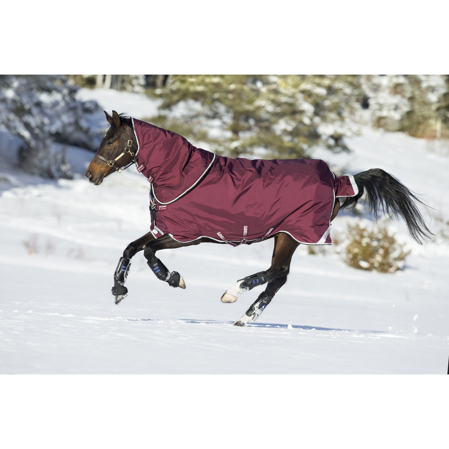 5-496242-burgundyduckeggblack.jpg