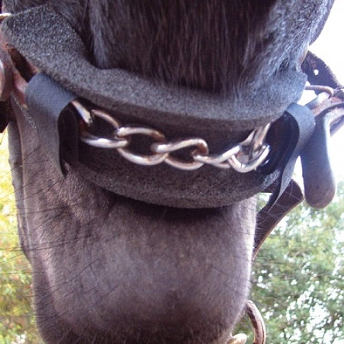 5-645244.jpg
