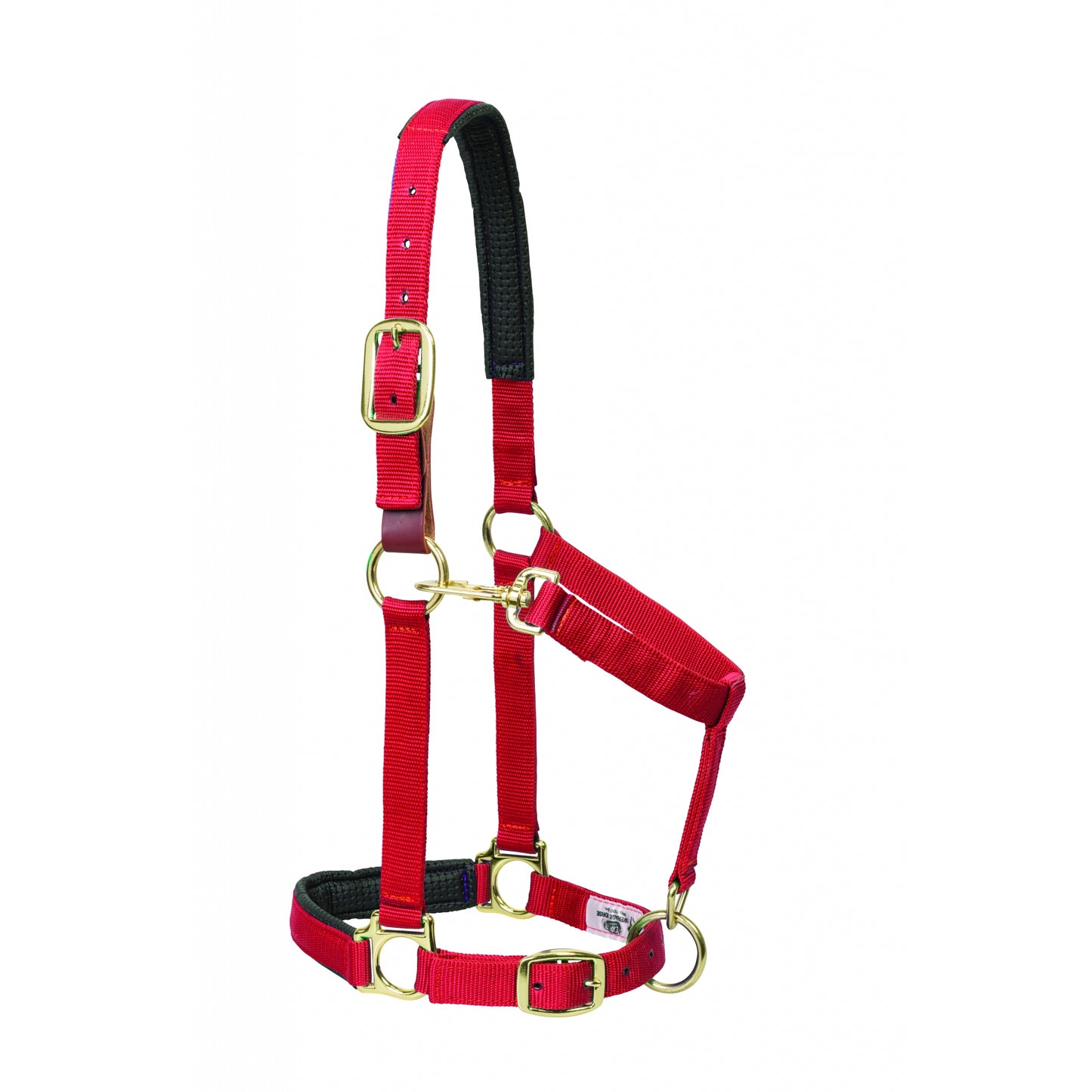 5-841205-red.jpg