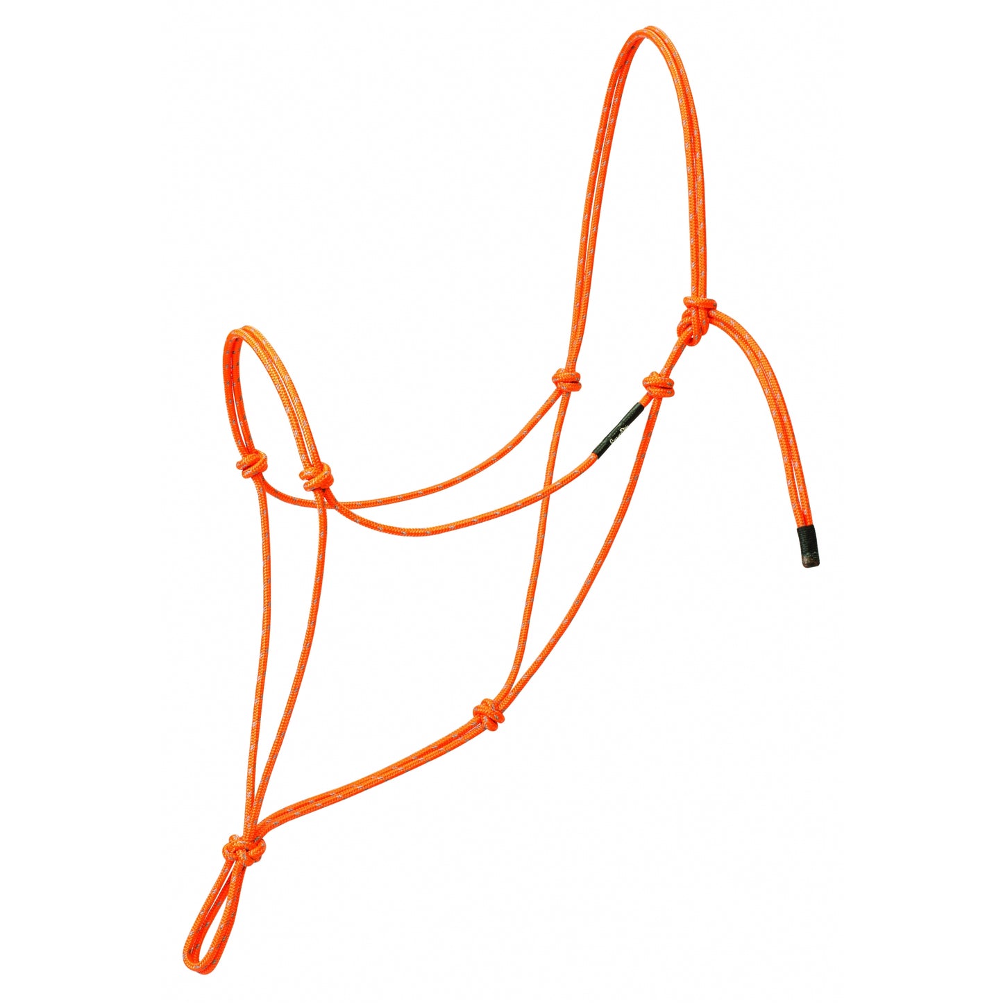5-853495-orange.jpg