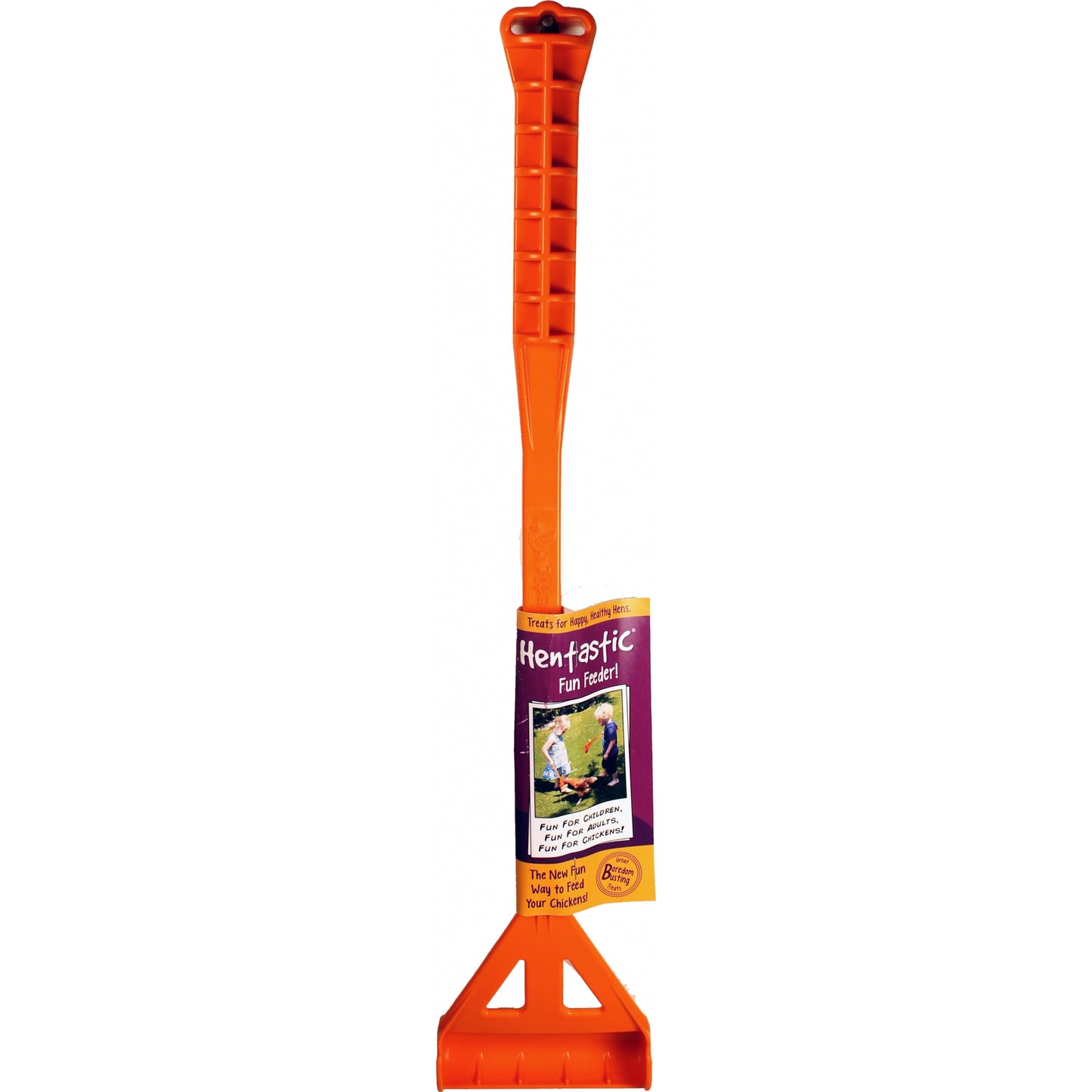 5-883410-orange.jpg