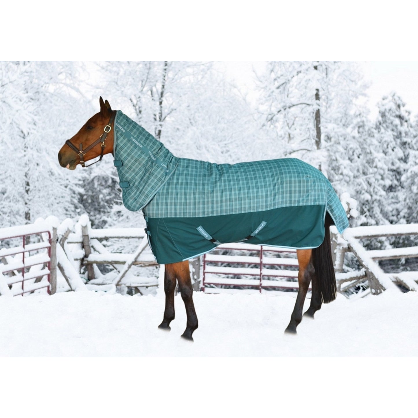 5-894020-deeptealtealplaid.jpg