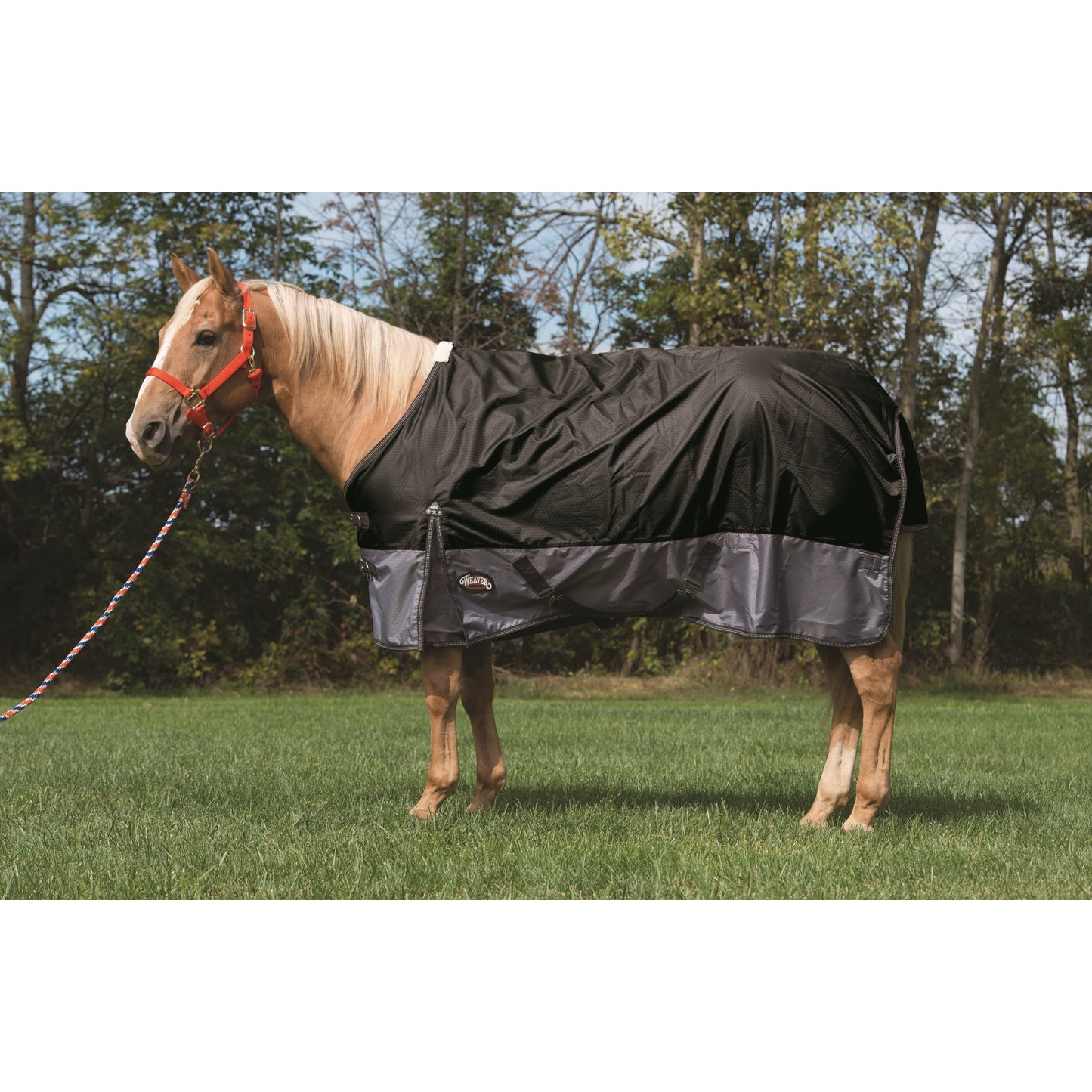 5-930109-black.jpg