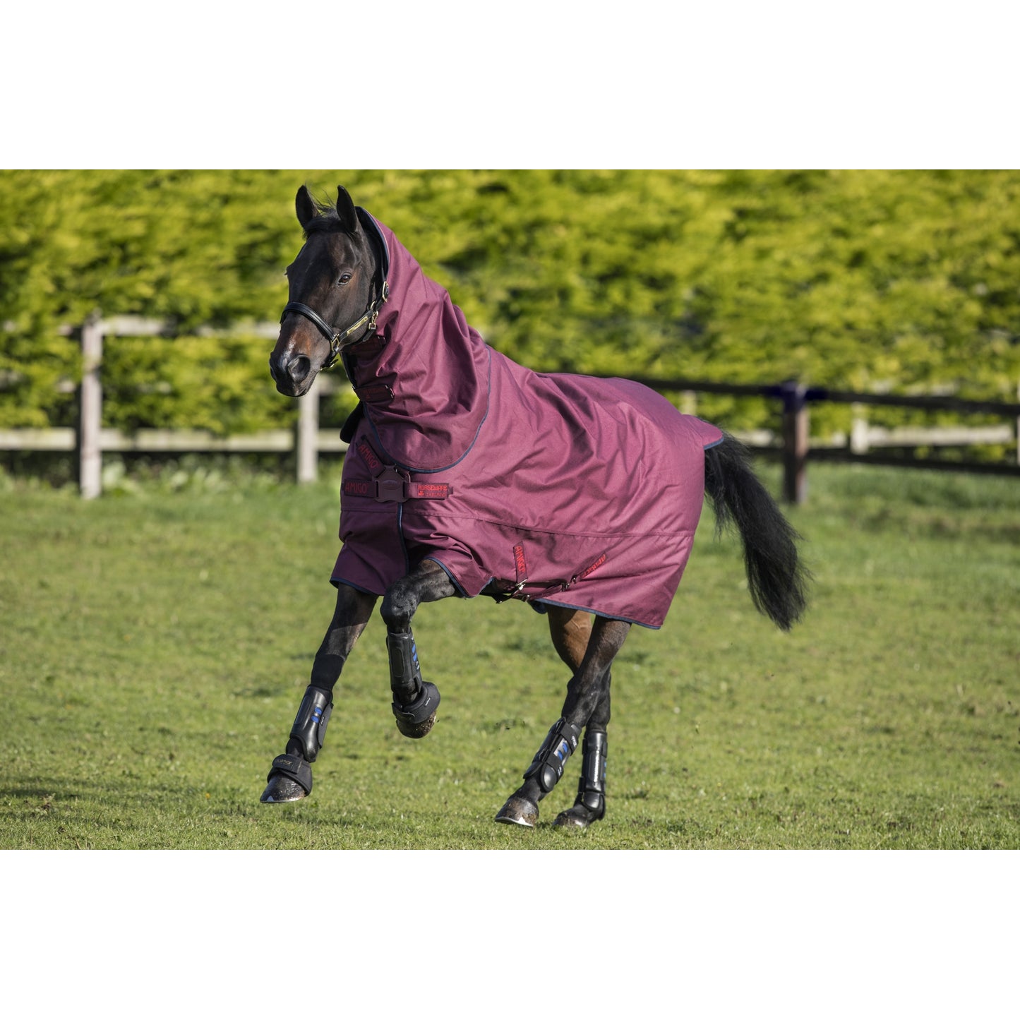 5-963608-burgundy.jpg