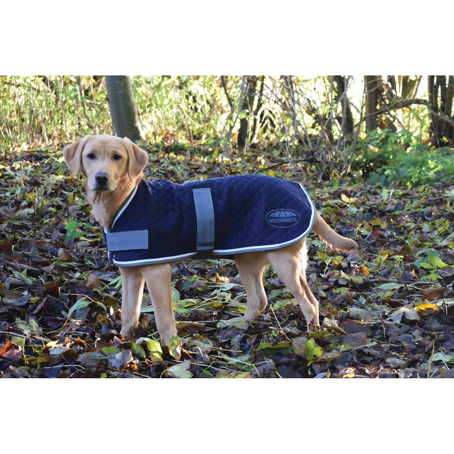 5-970474-navy.jpg