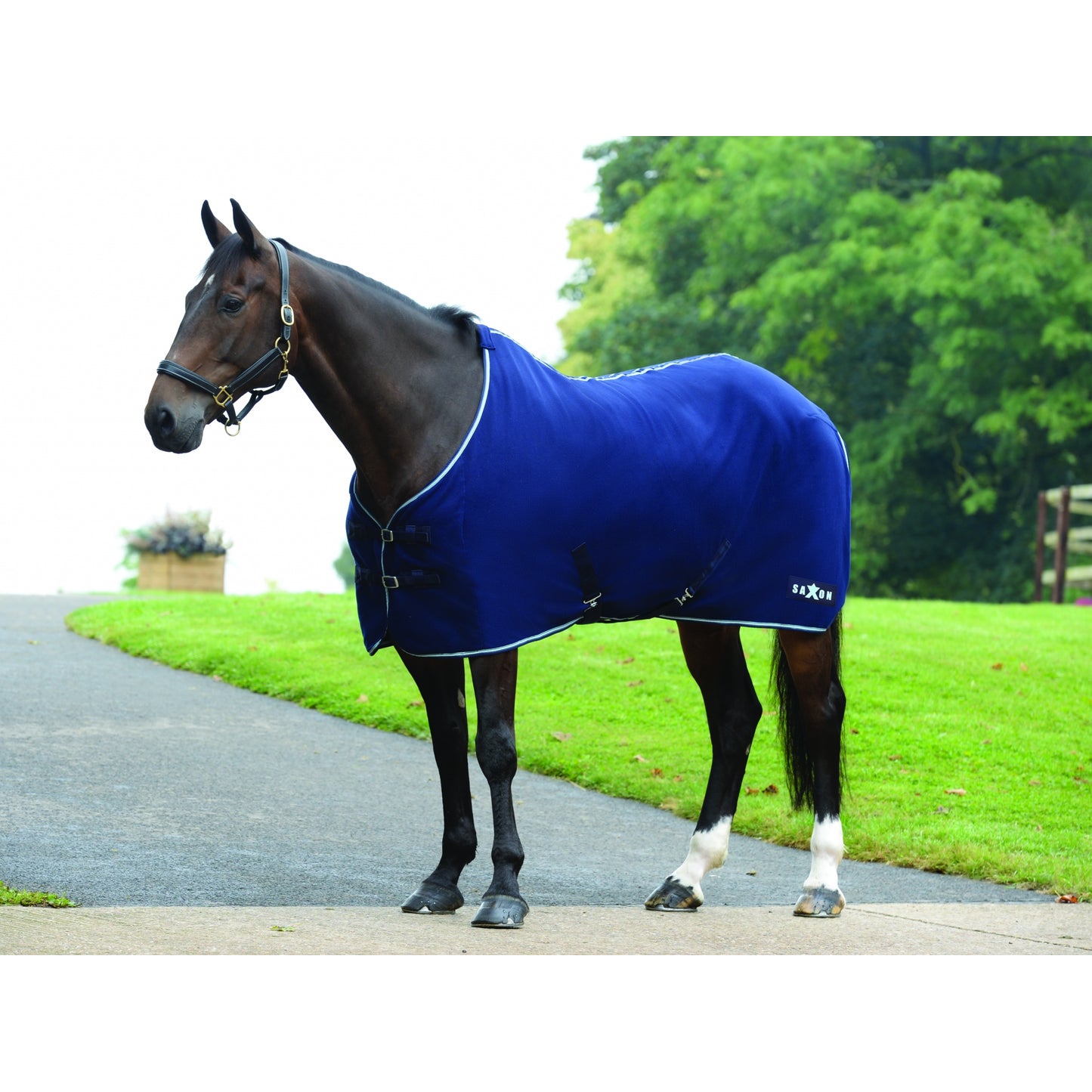 5-972497-navyblue.jpg