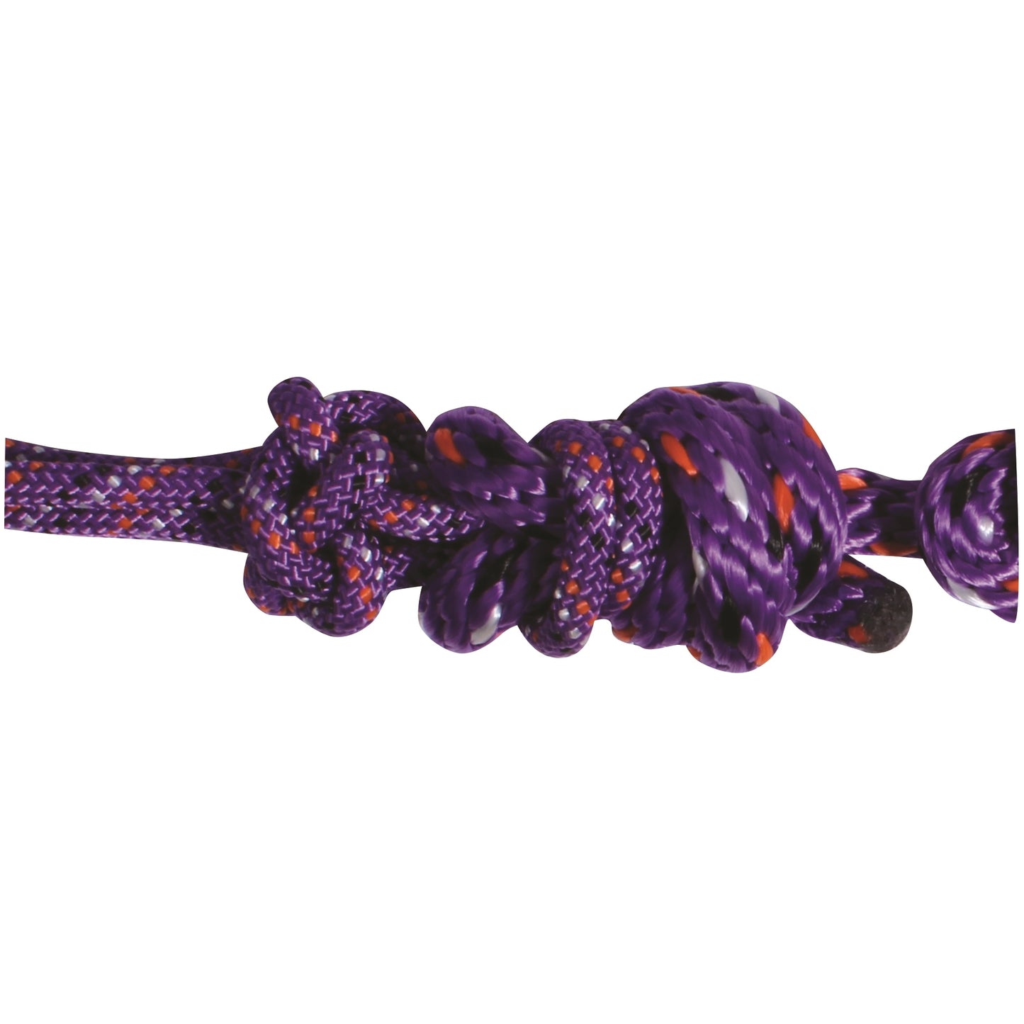 5-996154.jpg