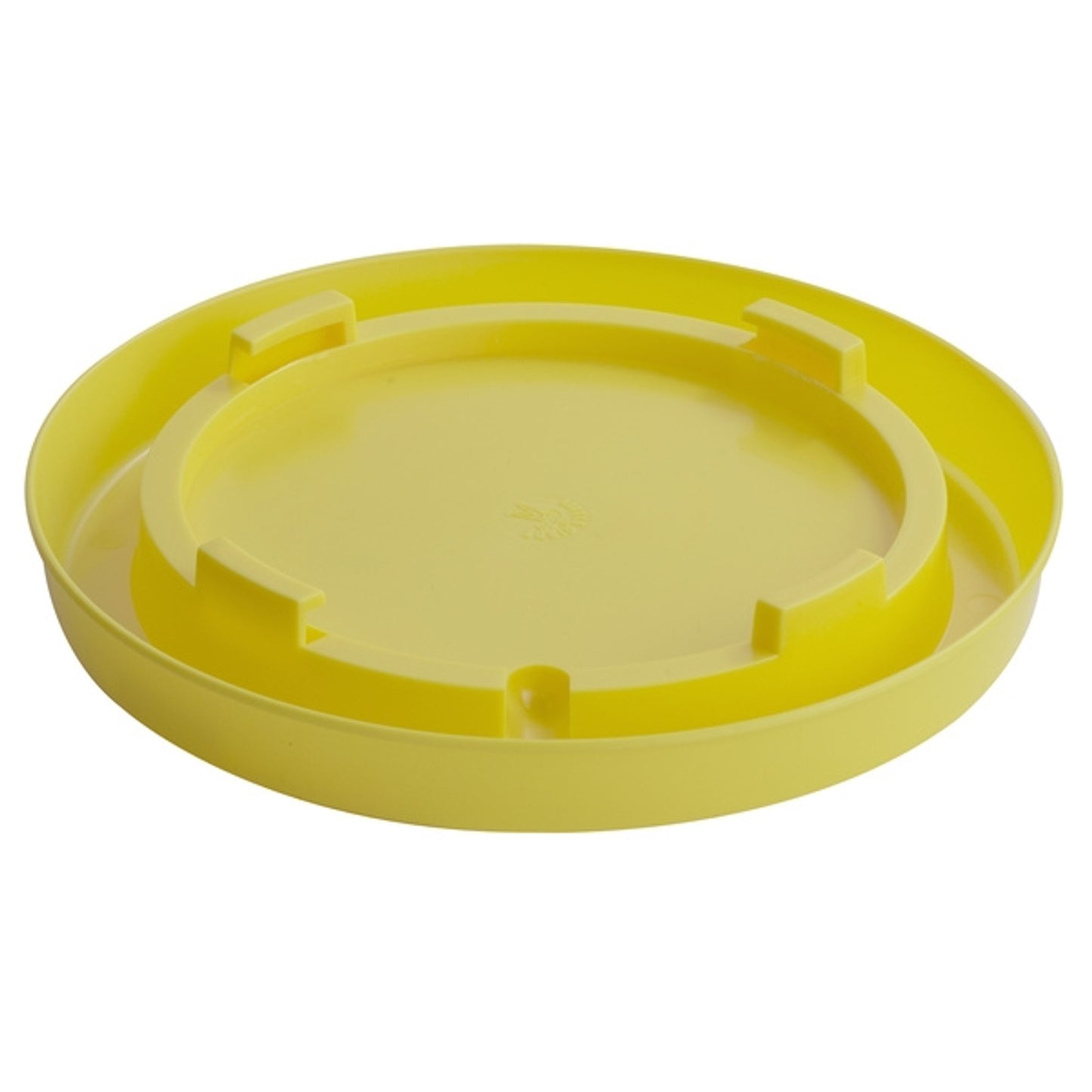 E007938_yellow.jpg