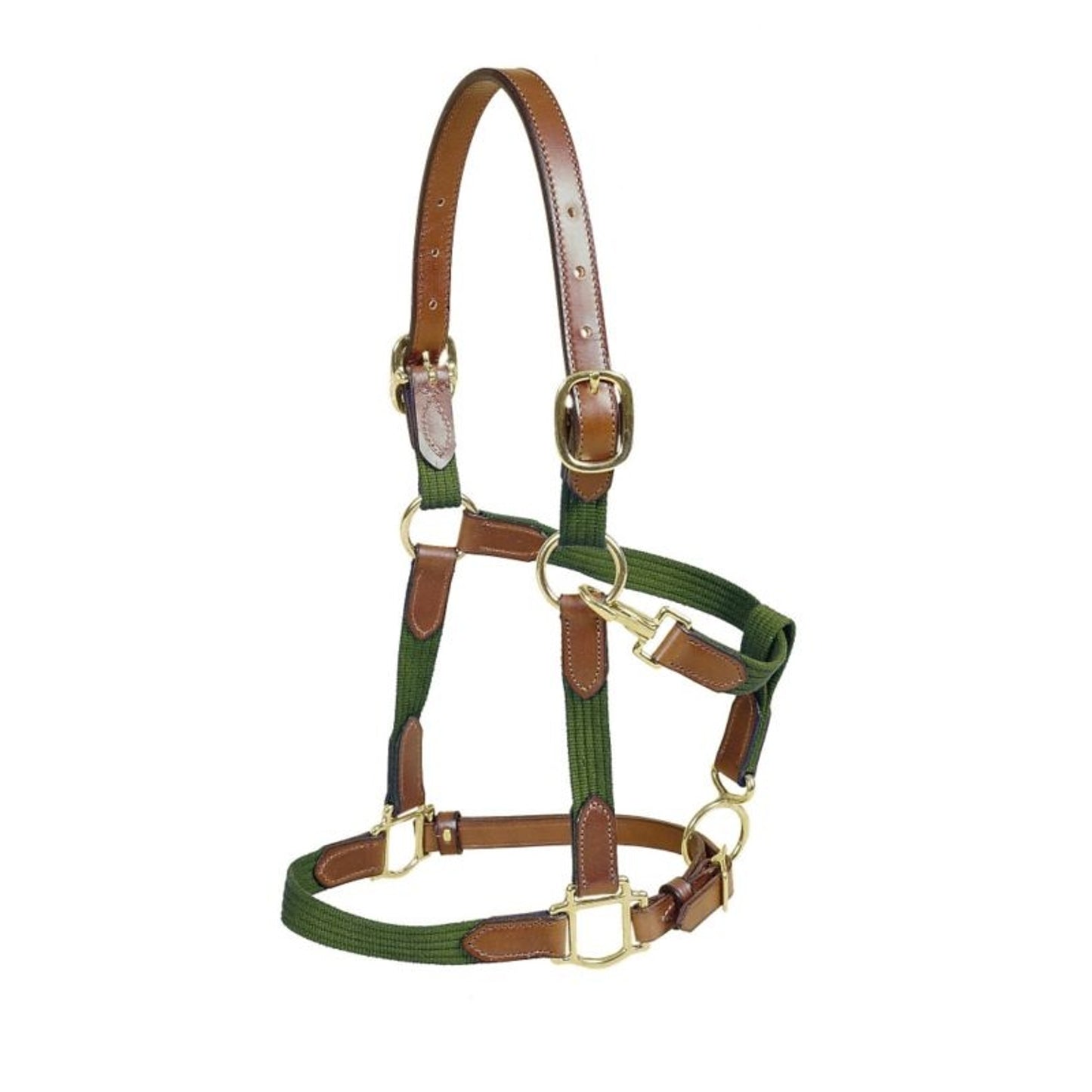 TE012601_Green.jpg