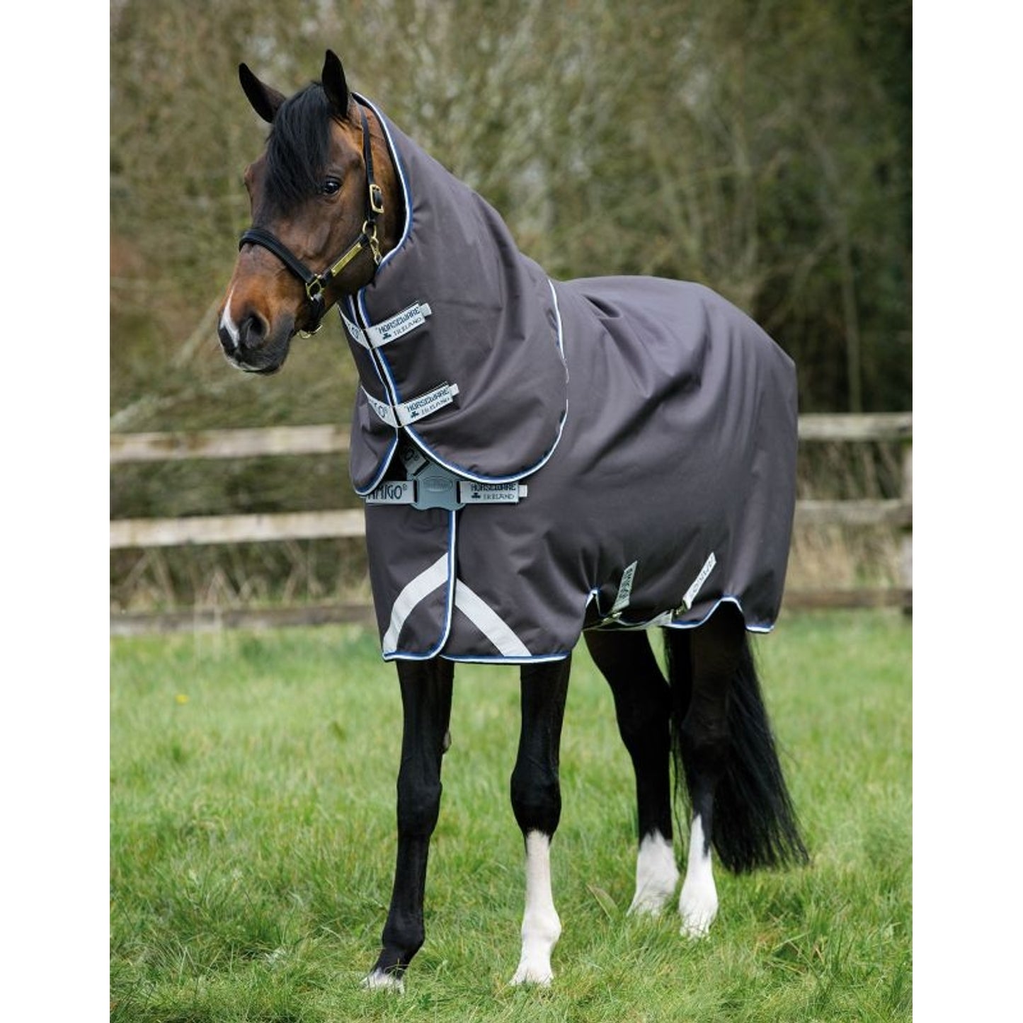 TE020841_P.jpg