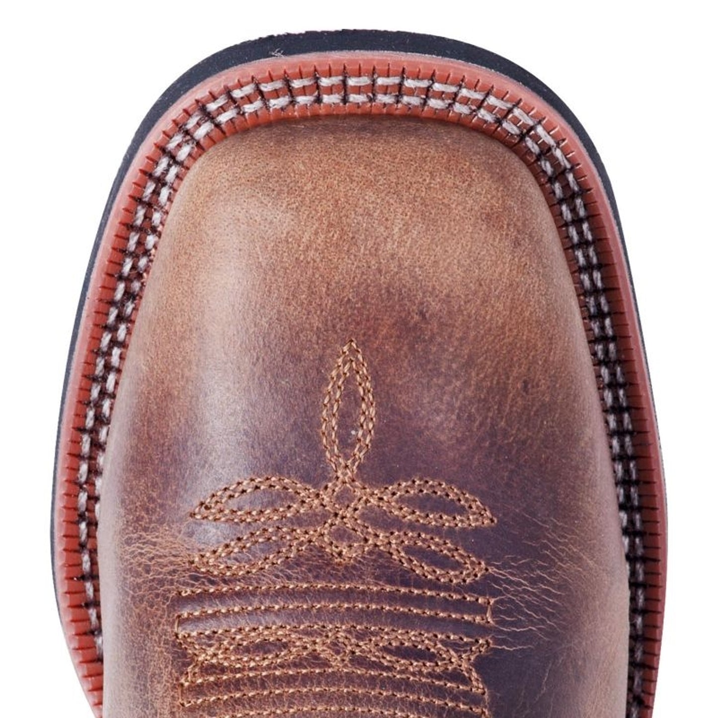 TE027123_toe.jpg