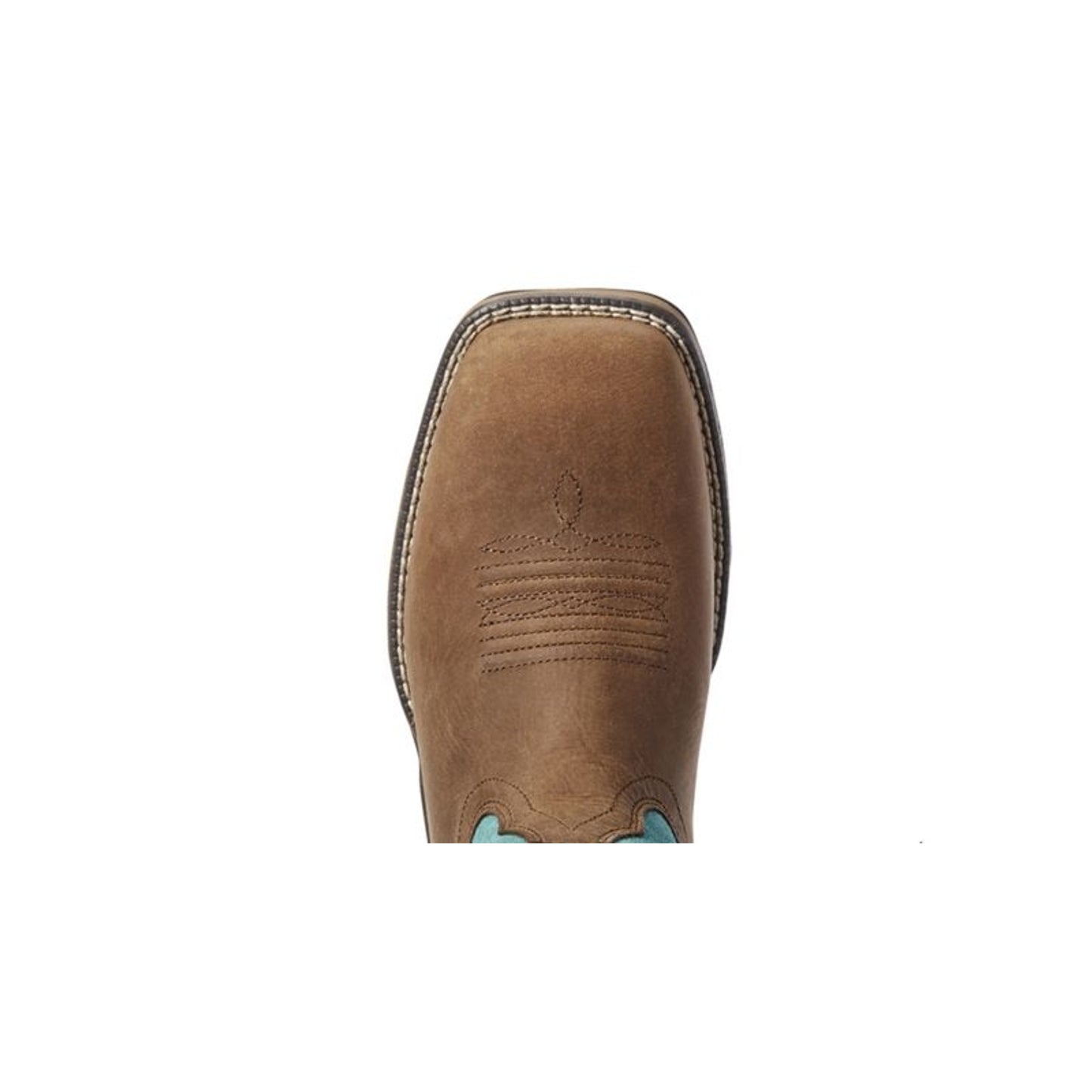 TE031369_toe.jpg