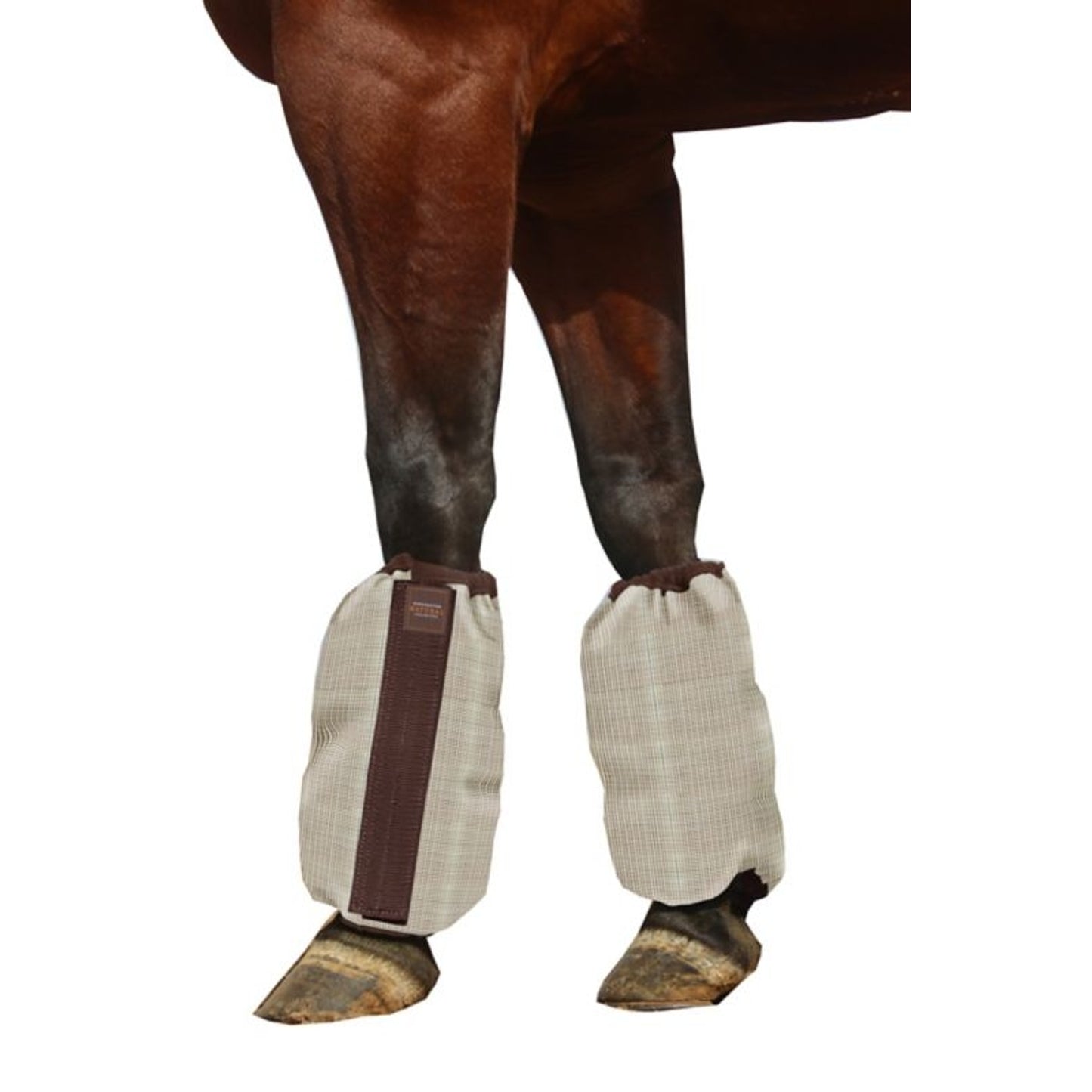 TE034153_864725_WO.jpg