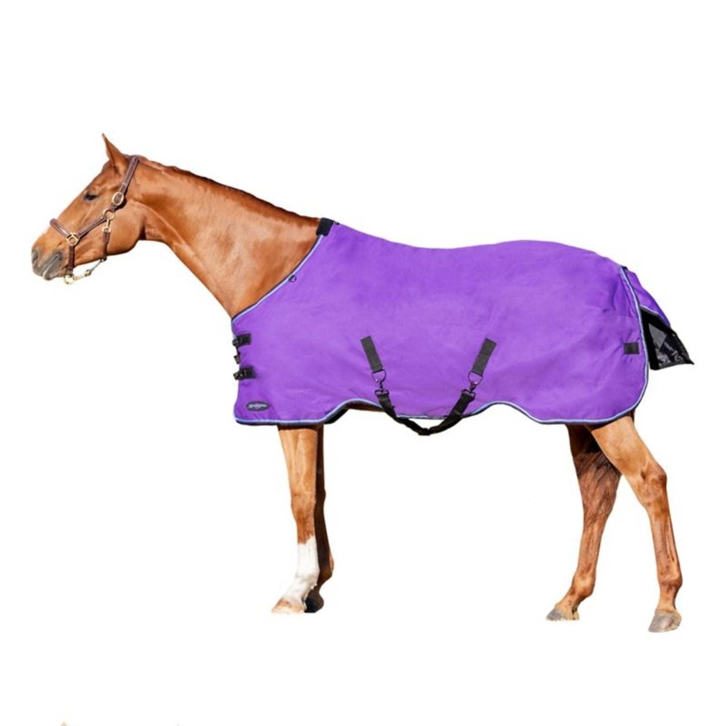 TE036581_891744_WO.jpg