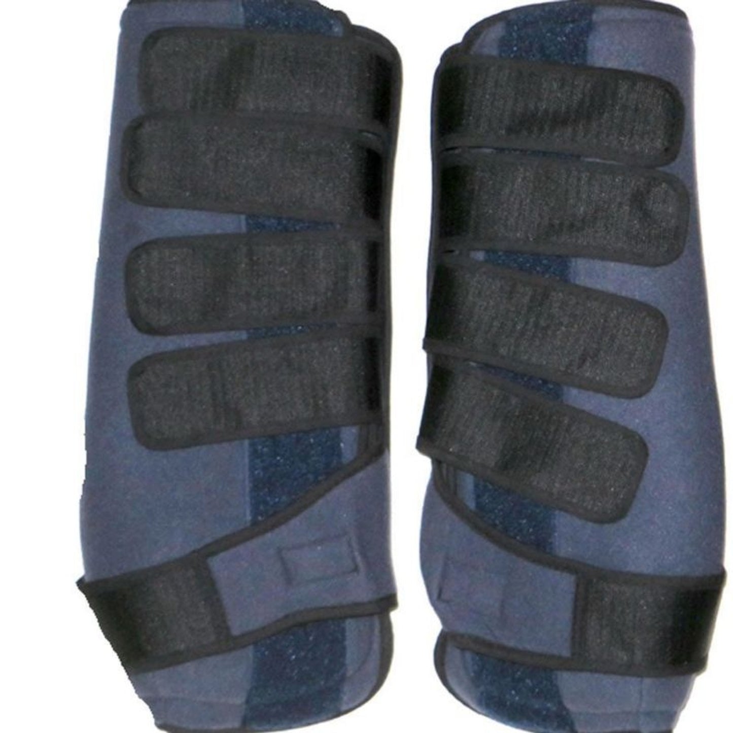 TH1360085.jpg