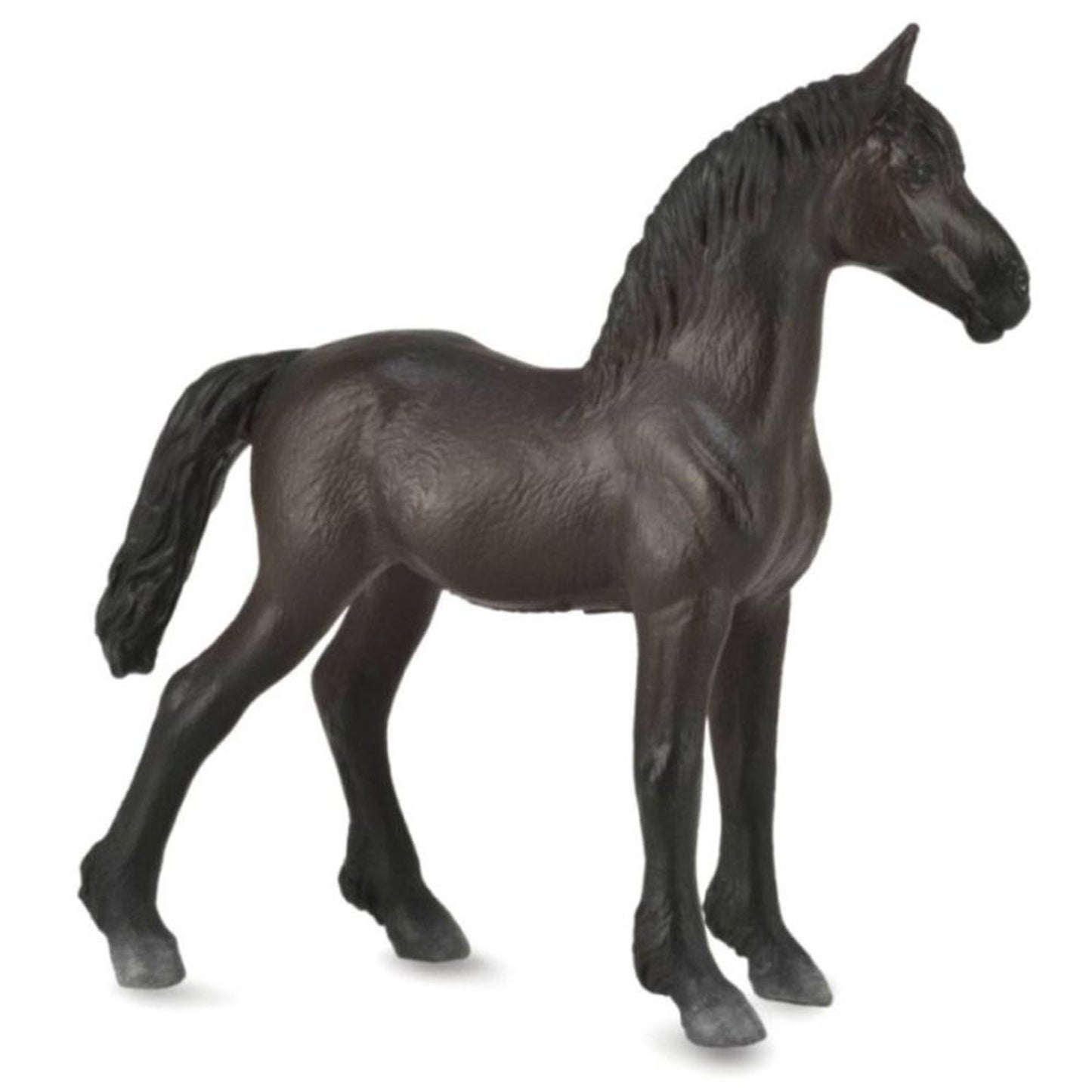 TH1540832_P.jpg