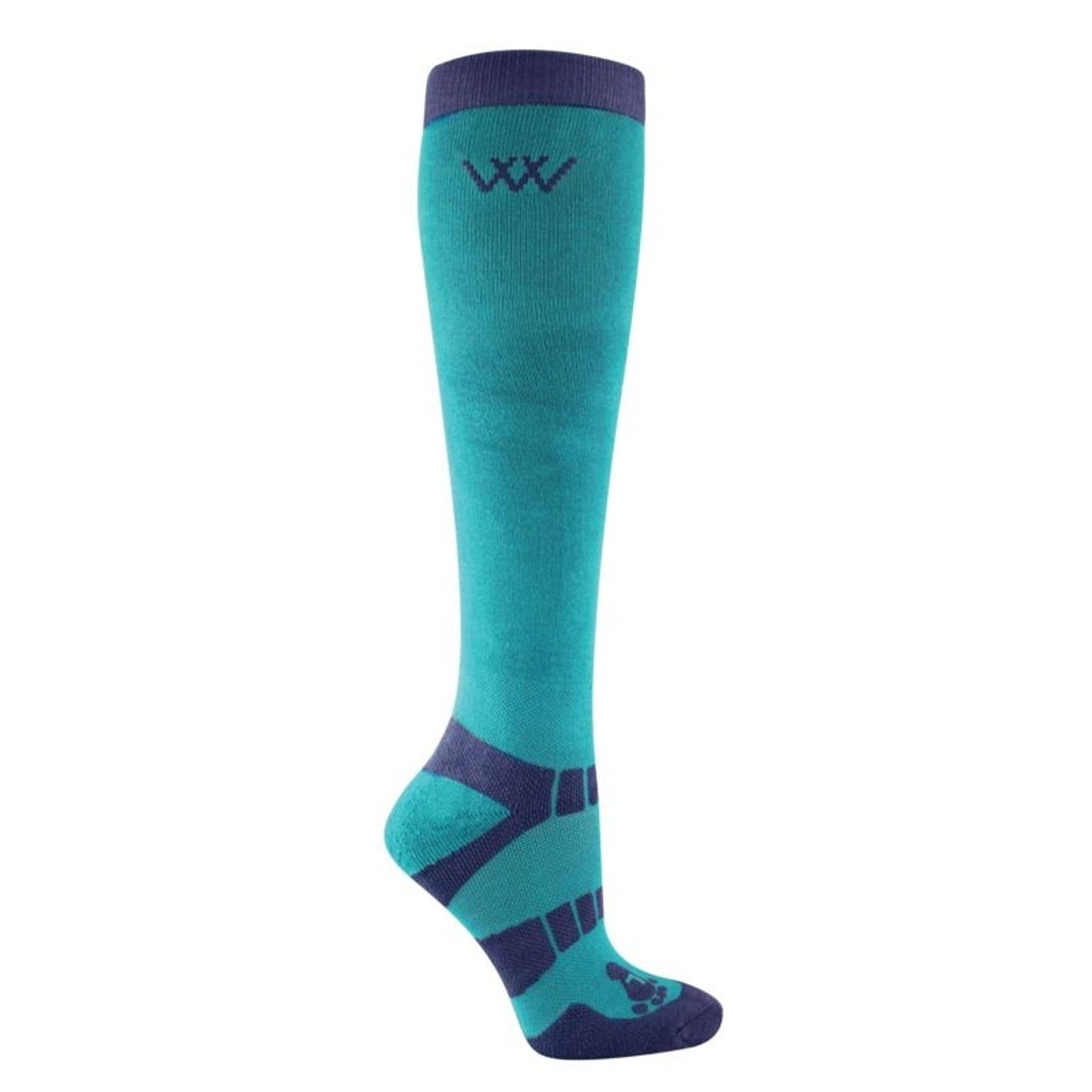 TH1752973_P.jpg