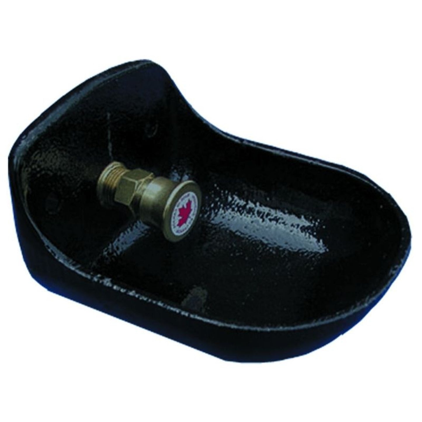 TH406707.jpg