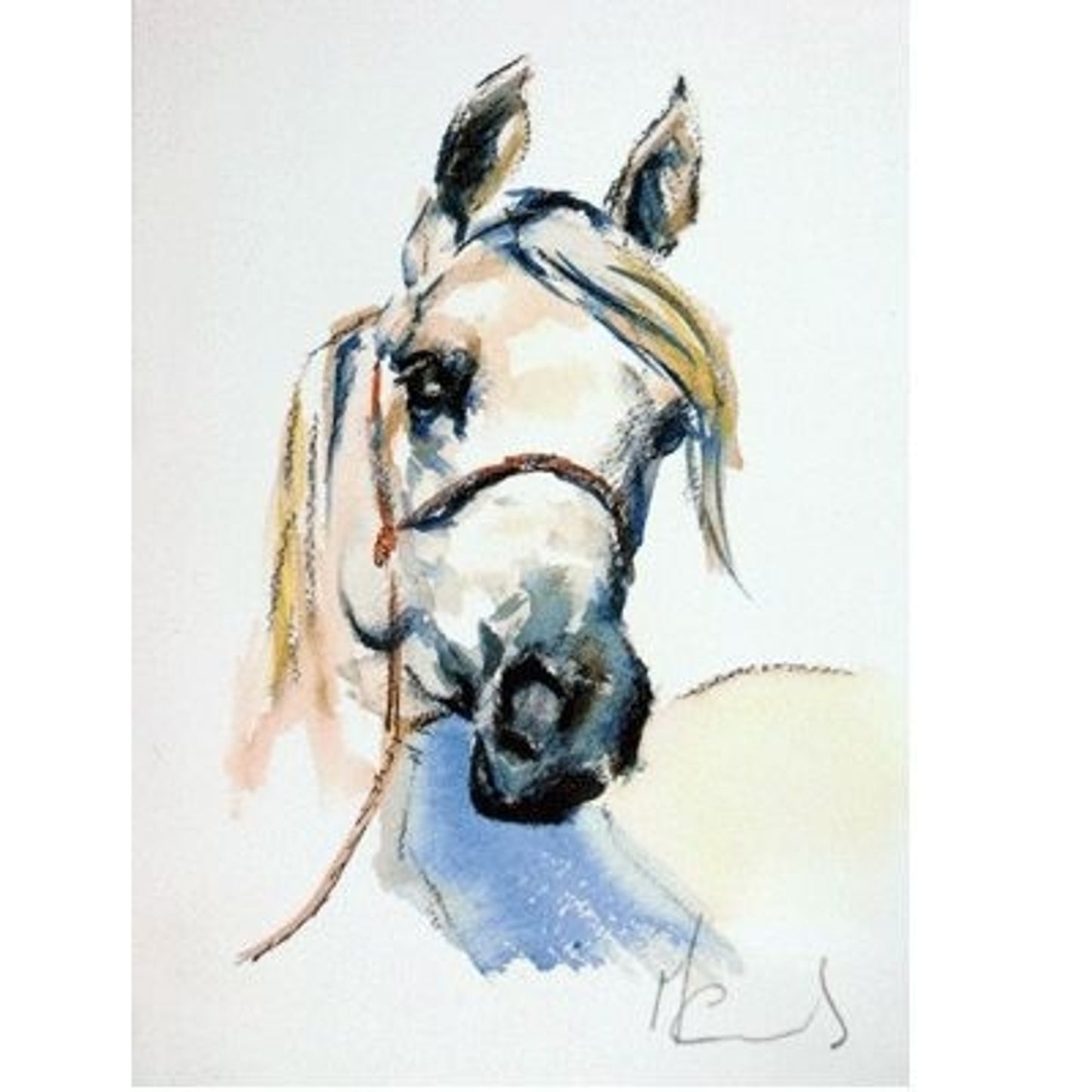 TH880658.jpg