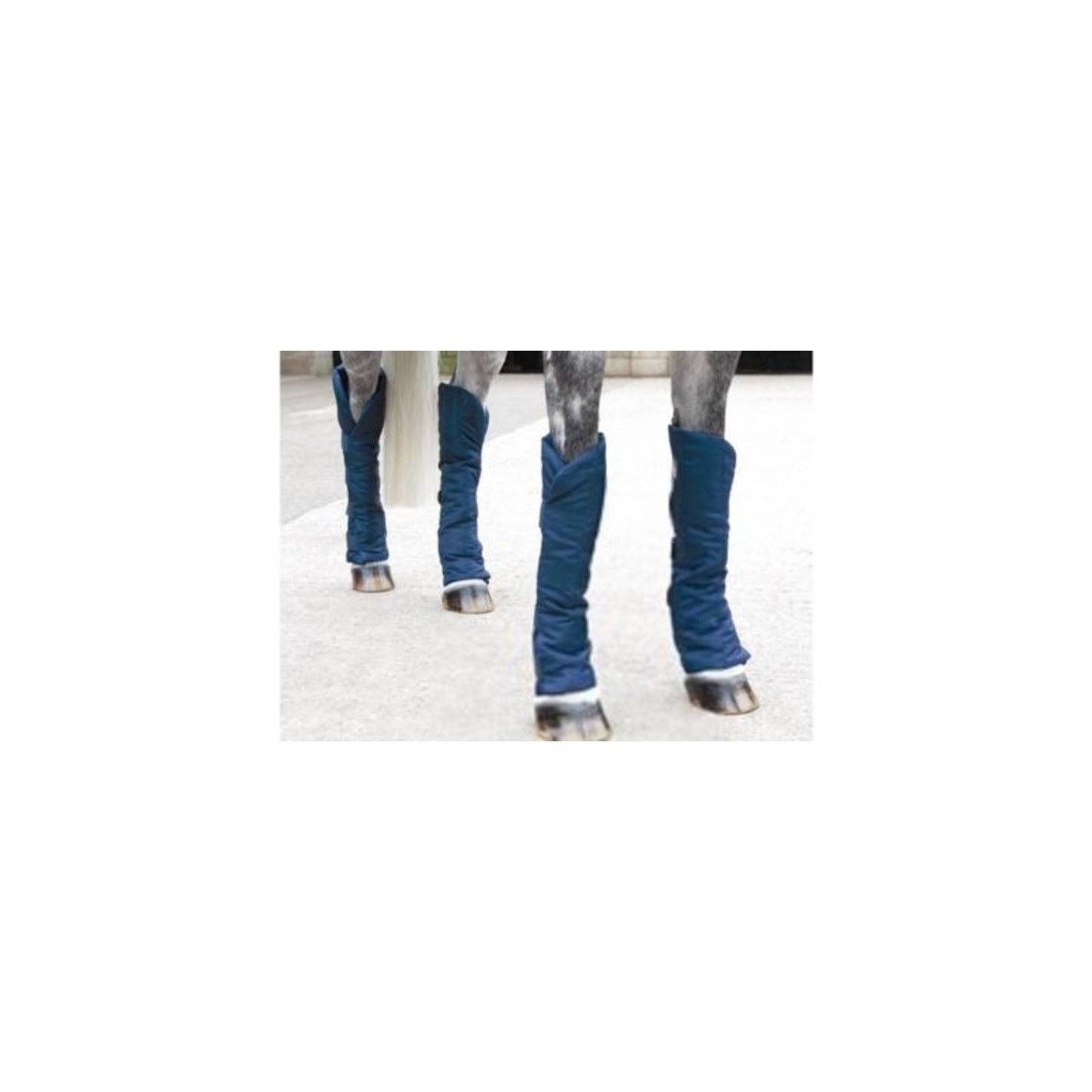 TH895540_P.jpg