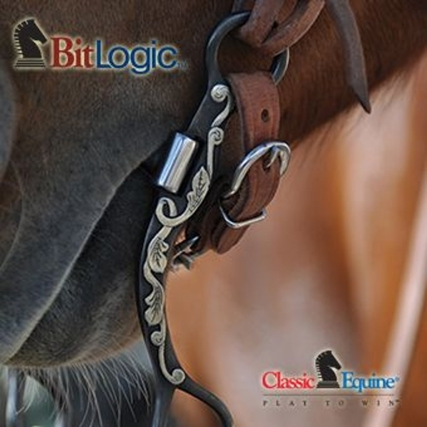 eb00372r-dogbone.jpg