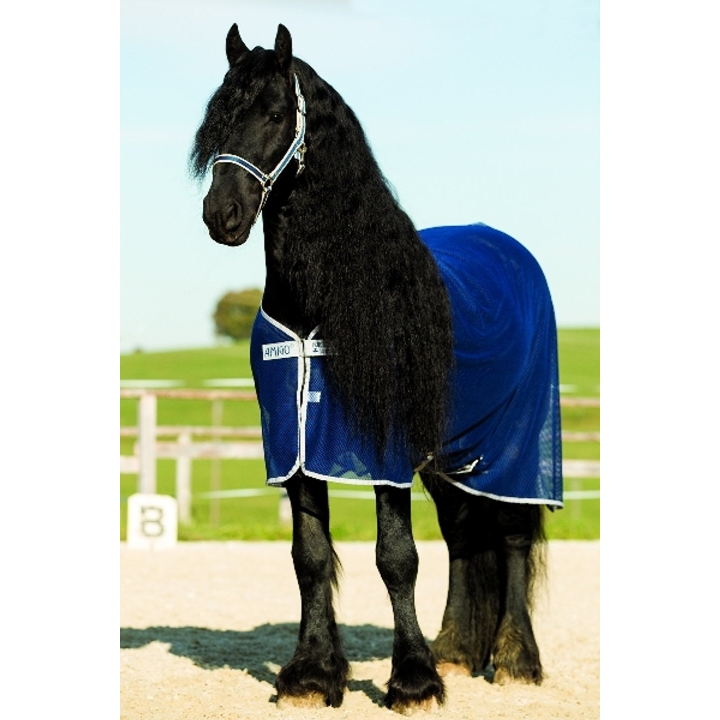 horseware-acrn24og-bmtb_01.jpg