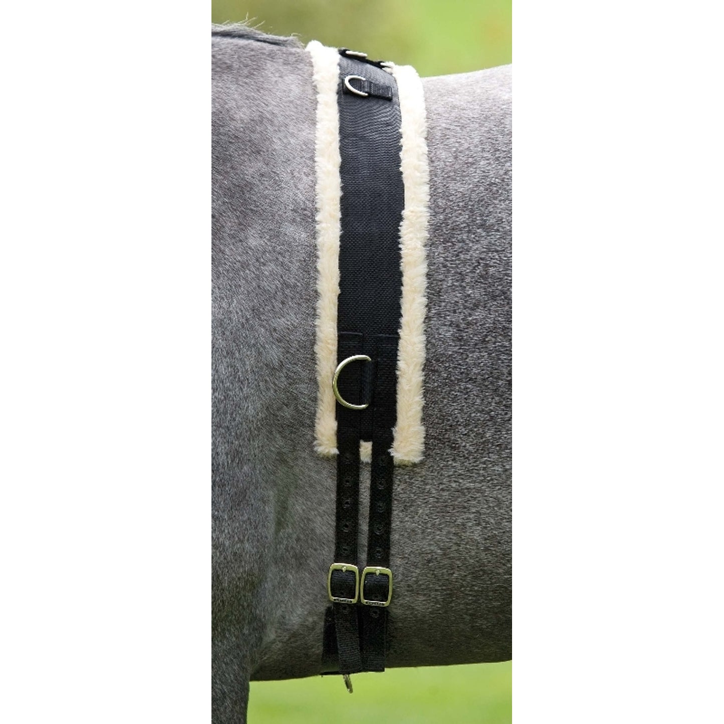 shires-469.jpg