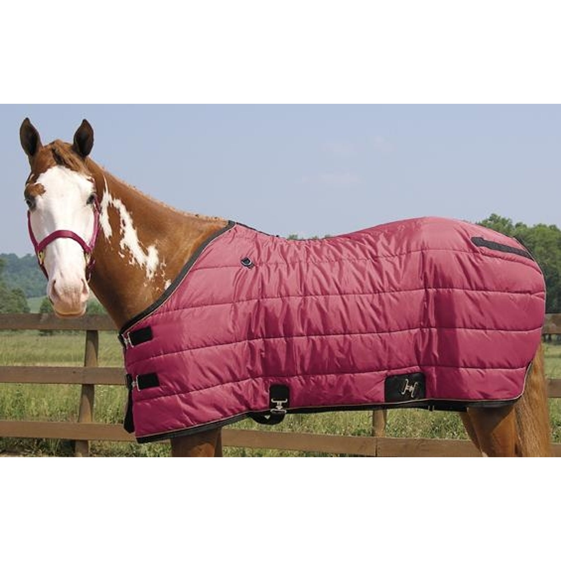 351510_burgundy.jpg
