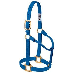 357005_blue.jpg