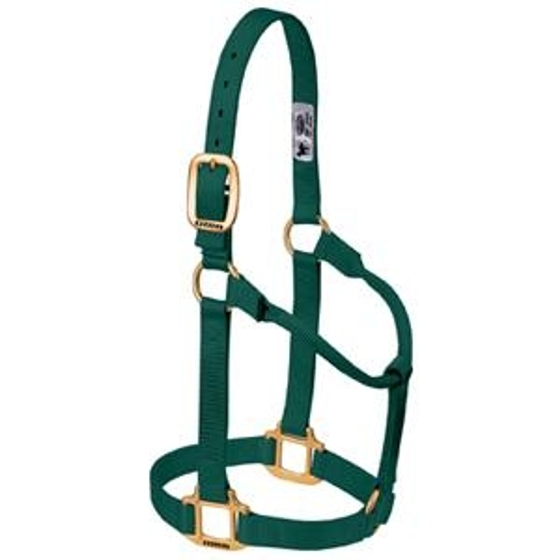 357005_hunter_green.jpg