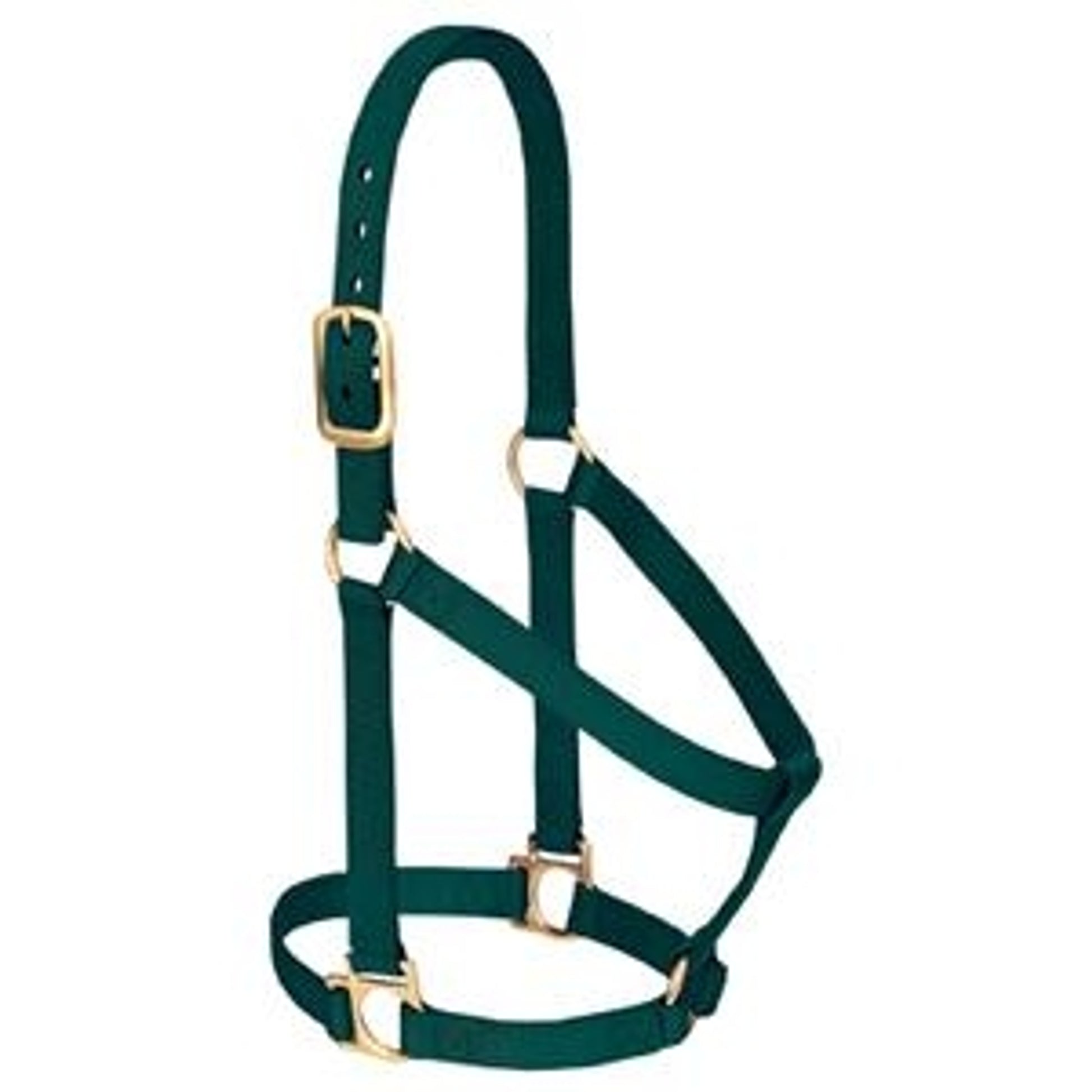 357405_hunter_green.jpg