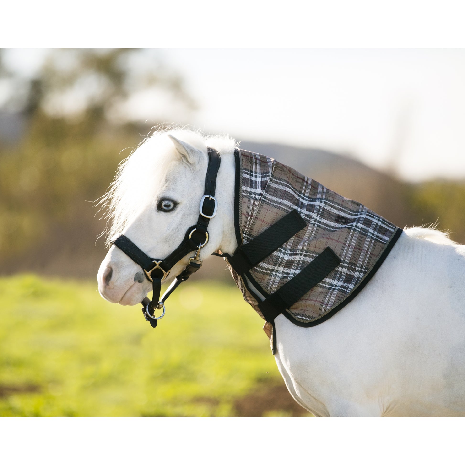 Kensington Mini Protective Neck Cover