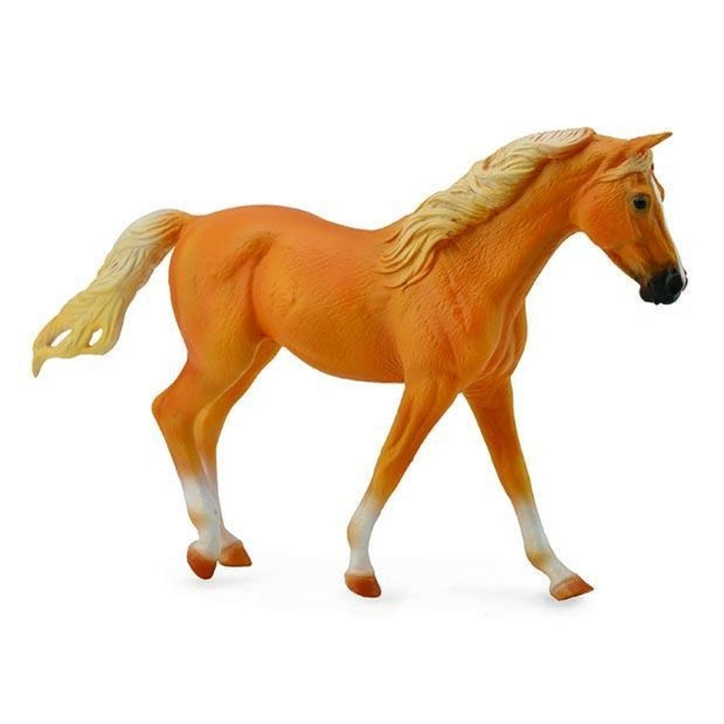 4-102119.jpg