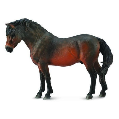4-102162.jpg