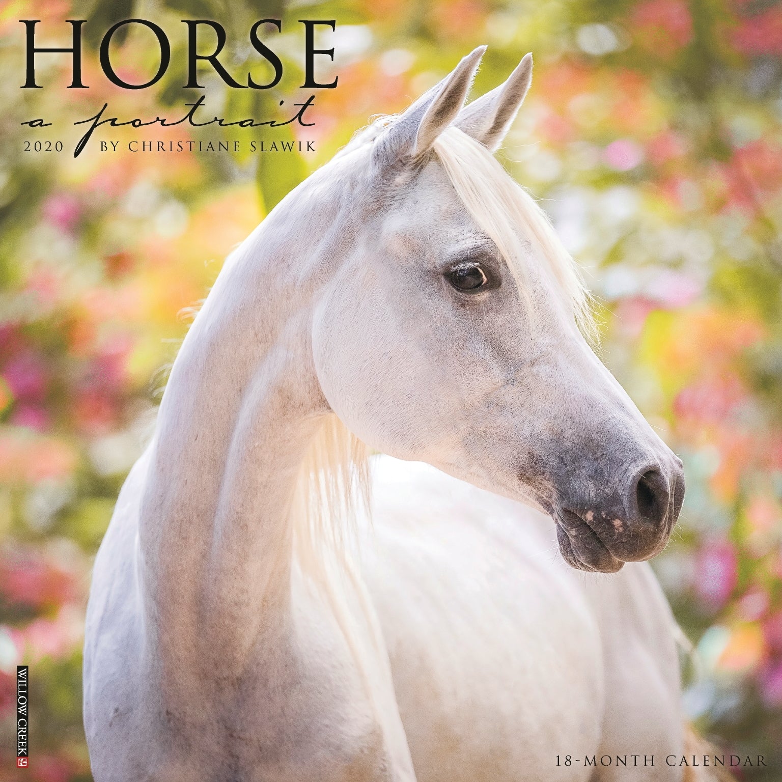 Kelley Horse A Portrait 2020 Calendar