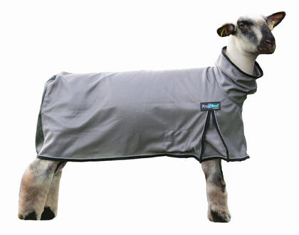 Weaver ProCool Sheep Blanket with Reflective Piping