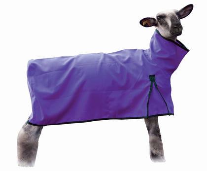 Weaver Nylon Sheep Blanket with Mesh Butt