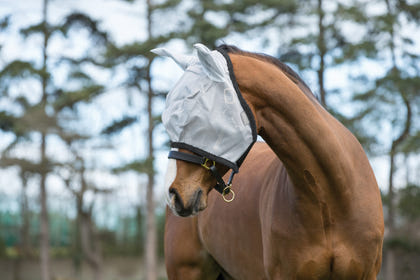 Amigo Fly Mask