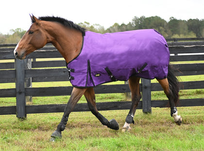 Gatsby Premium 1200D WP Turnout Blanket